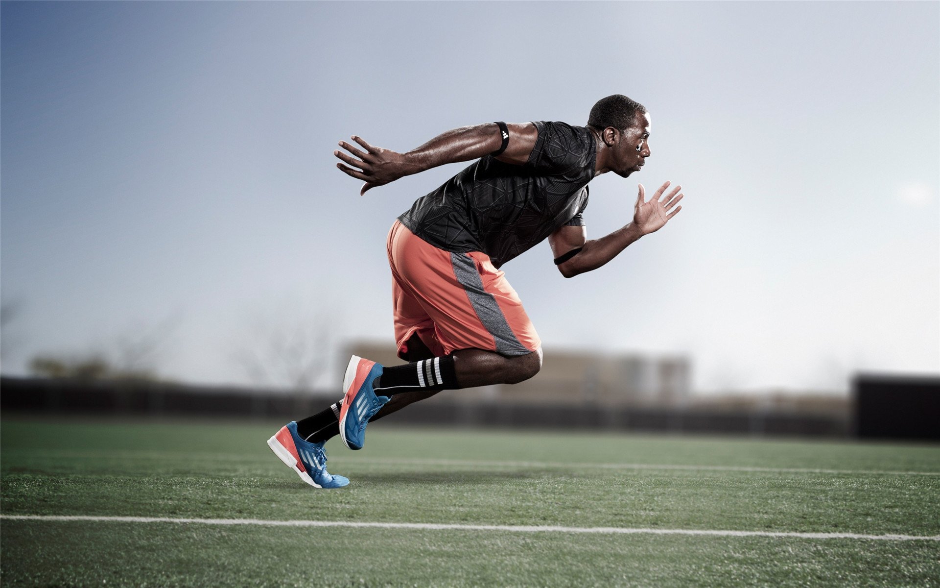 _运动员人气指数：社交媒体粉丝数量激增_，运动员粉丝排行榜最多前十名